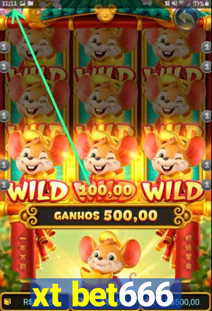 xt bet666
